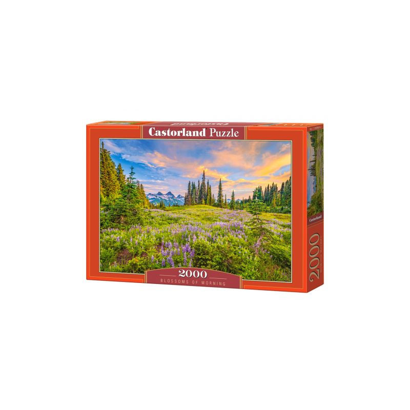 Puzzle 2000 el. Blossoms of Morning Castorland