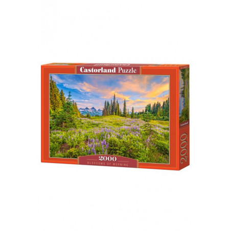 Puzzle 2000 el. Blossoms of Morning Castorland