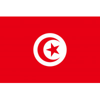 eSIM Tunisia:100 MB-Bez Limitu